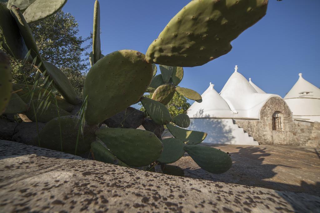 Willa Trullo Degli Ulivi Ostuni Zewnętrze zdjęcie